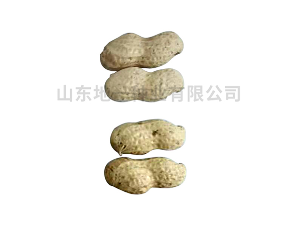 潍花22号果实