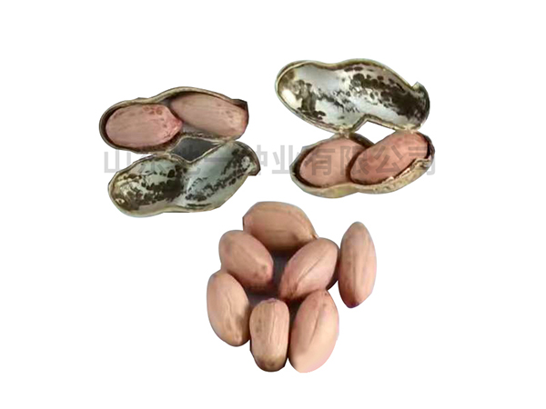 1715150057125755.jpg